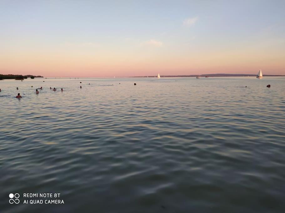 Flora House 3 Minutes From Lake Balaton ケストヘイ エクステリア 写真