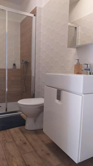 Flora House 3 Minutes From Lake Balaton ケストヘイ エクステリア 写真
